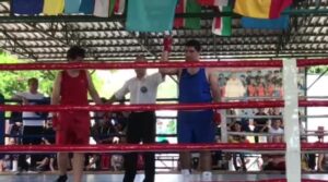На XXXII открытом международном турнире по боксу памяти Героя Советского…