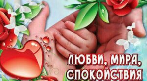 Публикация: 08.07.2017