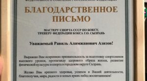 #сызраньбокс