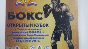 Открытый кубок по боксу г.Ульяновск ! Юбилей Федерации бокса г.Ульяновск…