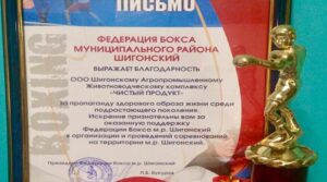 🇷🇺Спорт возвращается в Шигонский район всех жителей района поздравляем с…