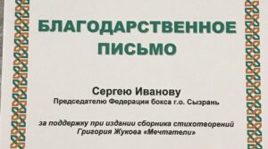 #сызраньбокс #вместемысила