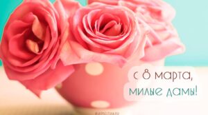 #сызраньбокс
