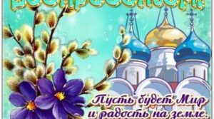 Публикация: 17.04.2022