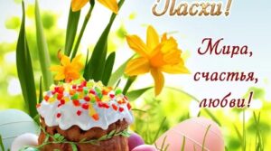 Публикация: 24.04.2022
