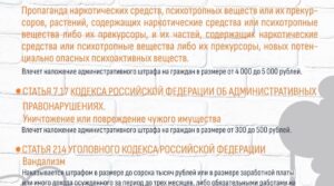 Публикация: 23.08.2023