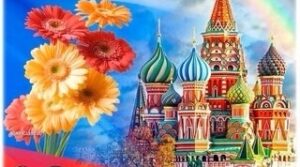 Публикация: 04.11.2024