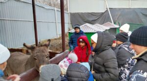 Увлекательную программу для жителей Курской области, которые проживают сейчас на…