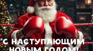 Публикация: 31.12.2024